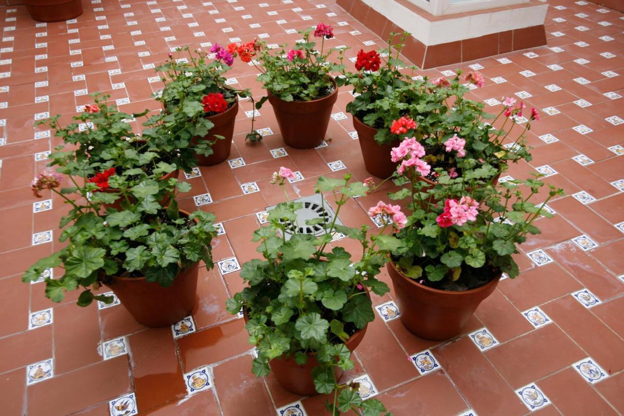 Apartamentos Las Cruces Sevilla Exterior foto